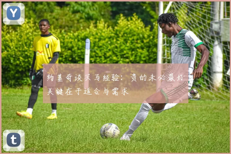 约基奇谈买马经验：贵的未必最好关键在于适合与需求
