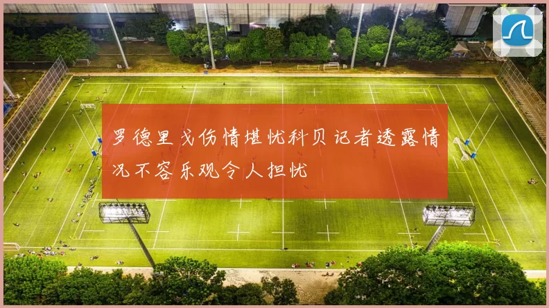罗德里戈伤情堪忧科贝记者透露情况不容乐观令人担忧